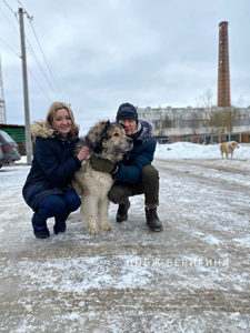 Собака Адам приют Беригиня