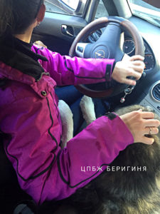 Собака Адам приют Беригиня