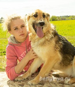 Собака Амура приют Беригиня