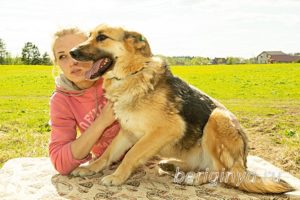 Собака Амура приют Беригиня