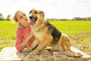 Собака Амура приют Беригиня