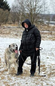 Собака Чаплин приют Беригиня