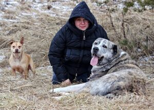 Собака Чаплин приют Беригиня