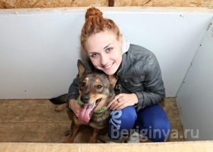 Собака Челси