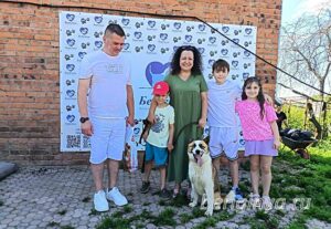 Собака Димон приют Беригиня