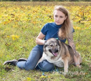 Собака Долли приют Беригиня