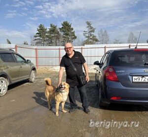 Собака Хурма приют Беригиня