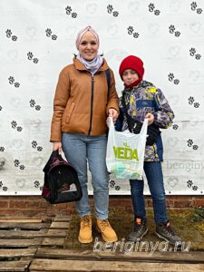 Кошка Инди приют Беригиня