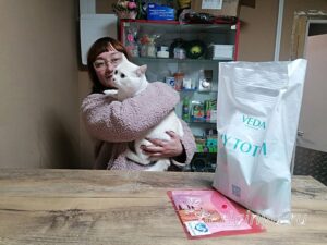 Кошка Каспер приют Беригиня