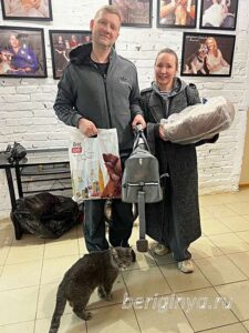 Кошка Келбу приют Беригиня