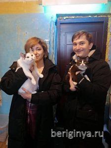 Кошки Кузена и Ликси приют Беригиня