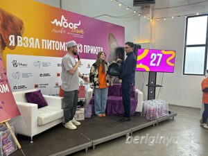 Кошка Лайкен приют Беригиня