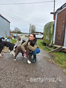 Собака Малика приют Беригиня