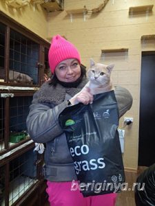 Кот Ману приют Беригиня