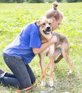 Собака Мулан приют Беригиня