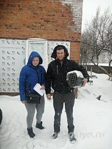 Кот Нарцисс приют Беригиня