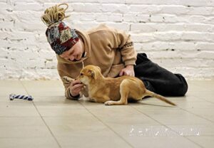 Собака Облепиха приют Беригиня