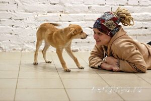 Собака Облепиха приют Беригиня