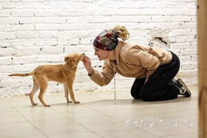 Собака Облепиха приют Беригиня