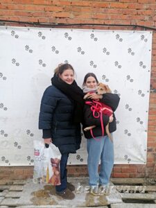 Собака Облепиха приют Беригиня