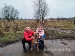 Собака Панчо приют Беригиня