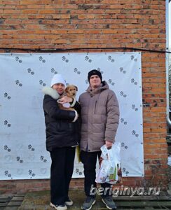 Собака Полинка приют Беригиня