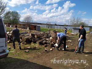Программа "Приют для бездомных животных "Беригиня"