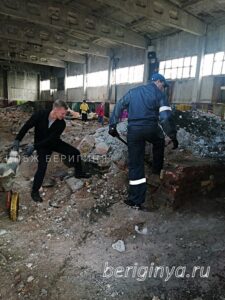 Программа "Приют для бездомных животных "Беригиня"