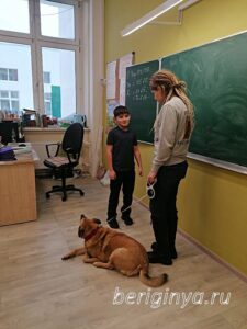Программа "Просветительская деятельность" - приют Беригиня