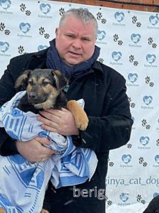 Собака Шмуля приют Беригиня