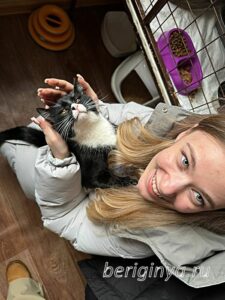 Кот Шульц приют Беригиня