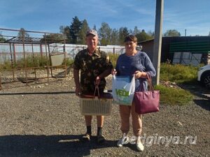 Кошка Сильва приют Беригиня